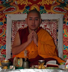 kyabjelingrinpoche.shakyamunishrineroom