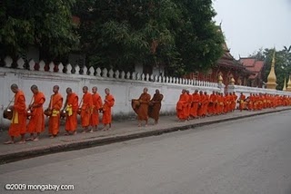 laos_1197