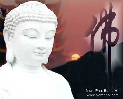 http://www.niemphat.com/hinhanh/niemphatbalamat/images/HinhPhatThichCa7_jpg.jpg