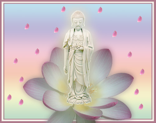 http://www.tangthuphathoc.net/thuvienhinh/phatadida/amitabha_2.jpg